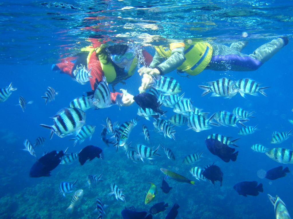 Okinawa Kariyushi Beach Resort Ocean Spa Onna Kültér fotó